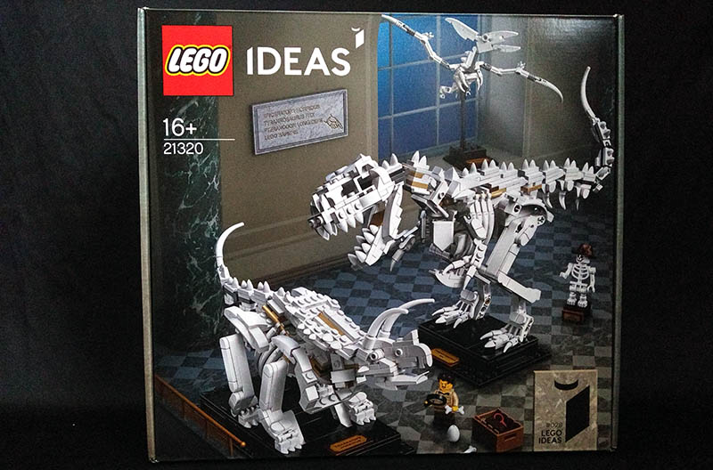 Boite LEGO IDEAS 21320 