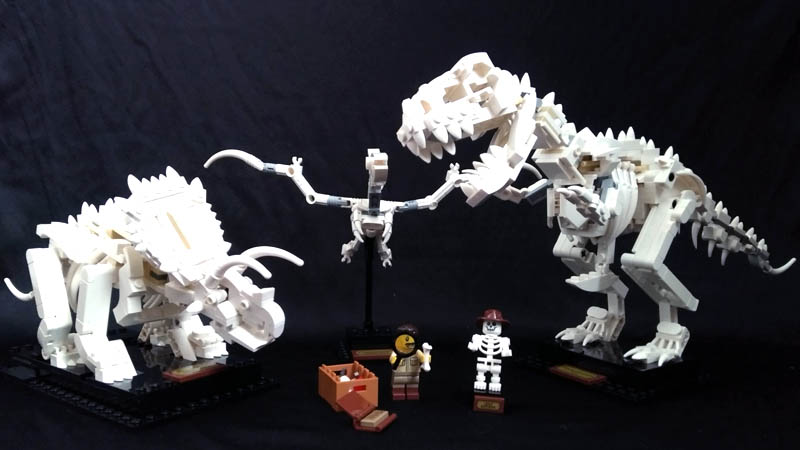 LEGO IDEAS 21320 - vue d'ensemble