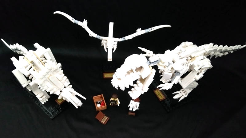 LEGO IDEAS 21320 - vue d'ensemble