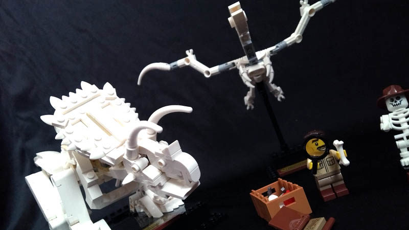 LEGO IDEAS 21320 - vue d'ensemble