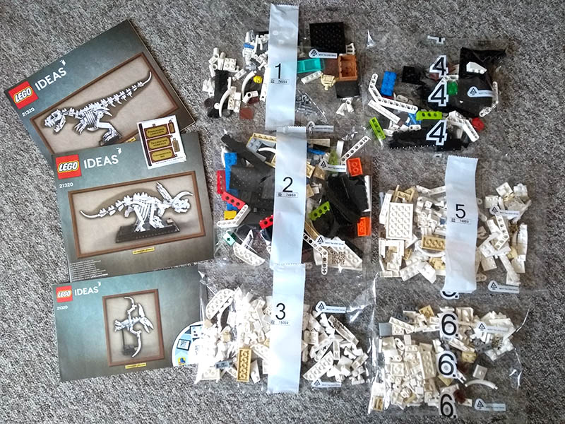 LEGO IDEAS 21320 - sachets et livrets de construction