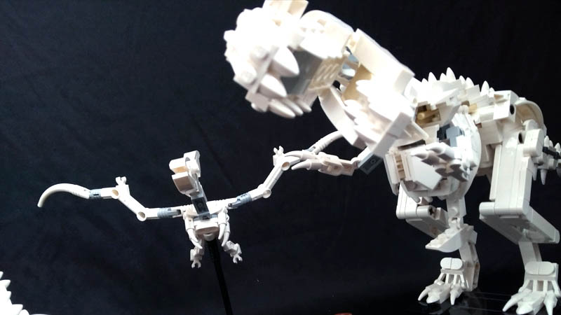 LEGO IDEAS 21320 - Ptéranodon & Tyranosaurus Rex