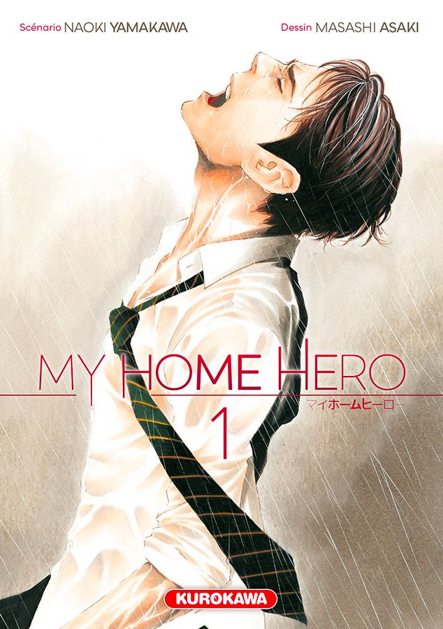 My-Home-Hero-1