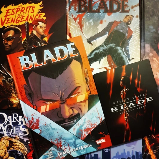 Blade, tome 2 - Le mal par le mal