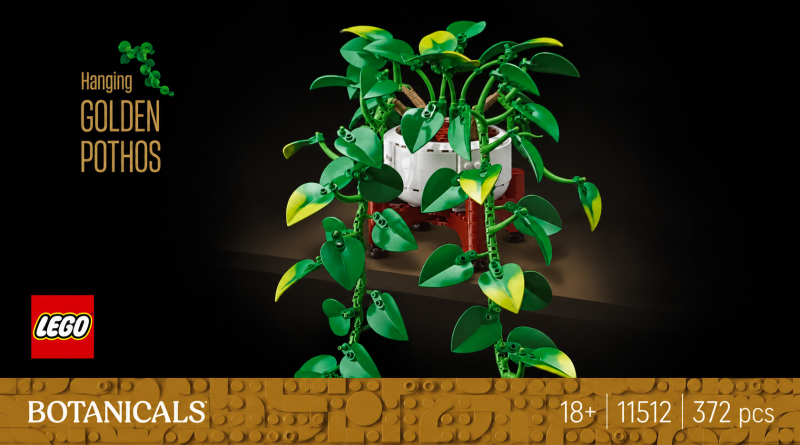 Bandeau Lego 11512 - Pothos doré tombant